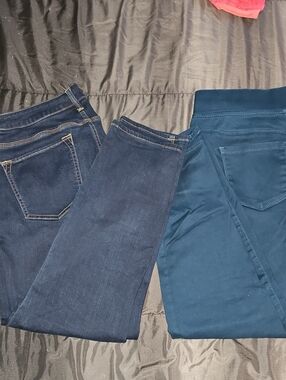 Avenue Women’s Dark Blue & Teal Skinny Jeans